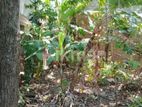 DEHIWALA OFF HILL ST SUMUDU RAJAPAKSHA MW 10.5 P BARE LAND FOR SALE