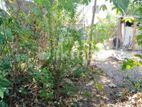 DEHIWALA OFF HILL ST SUMUDU RAJAPAKSHA MW 10.5P BARE LAND FOR SALE
