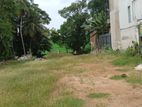Dehiwala Off Hill Street 30 Perches Of Prime Bare Land For Sale