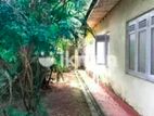 Dehiwala, Piyarathanarama Road - Land for Sale with House