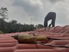 Dehiwala - Service Roofing Renovation