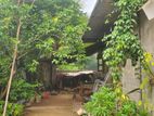 දෙල්ගොඩ නගරය 100m දුරින් ඉඩමක් විකිනිමට