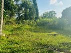 Delgoda Meegahawatta Land for Sale