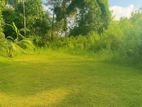 Delgoda Meegahawatta Land for Sale