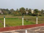 Delgoda Paddy Field Facing Land for Sale