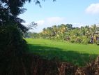 Delgoda Town Paddy Field Facing Land for Sale