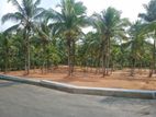 දෙල්ගොඩ හා කඩවත ටව්මට මැදින් ඉඩම් විකිණීමට