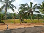 දෙල්ගොඩ ඉඩමක් විකිණීමට ඇත