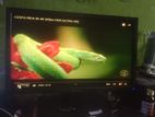 Dell 19 Inch Wide Monitor