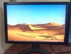 Dell 19 Inches LED Monitor