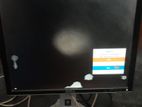 Dell 19" Monitor