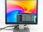Dell 19" Square Monitor IPS (LED backlight)