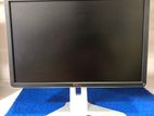 DELL 20” IPS Monitor