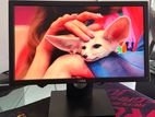 Dell 20” LED Monitor