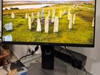 DELL 22” FRAMELESS MONITOR