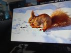 Dell 22 Inch IPS Frame less Full HD Used Monitor