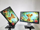 Dell 22 Inch IPS LED HDMI 1080p Full HD Wide Monitor