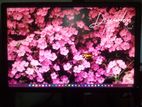 Dell 22" IPS Monitor