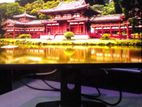 Dell 22 Rotatable Monitor