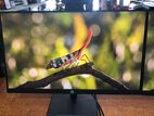 Dell 22’’ Wide Ips HDMI Monitor