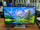 Dell 23 IPS Full HD Monitors Best