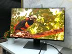 Dell 24" Frameless Monitor