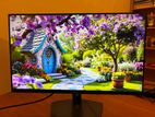 Dell 24 Inch Frameless Monitor