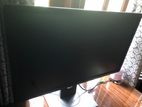 Dell 24 inch LED Moniter
