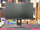 Dell 24" IPS Frameless Monitor