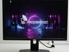 Dell 24" IPS Inch Wide Screen Full HD Monitors SET import