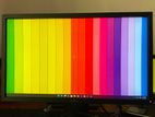 Dell 24’ IPS Monitor