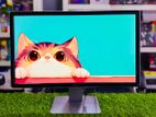 Dell 24" IPS Monitor