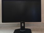 Dell 24" Monitor