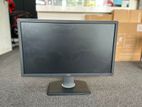 DELL 24" Wide LED Monitor