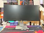 Dell 29" Frameless Ultrawide Monitor