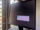 Dell Monitor 19'inch