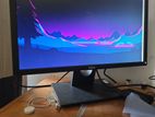 Dell Monitor 24 Inch