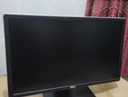 Dell Monitor 24size