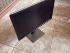 Dell Monitor
