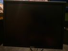 Dell Monitor