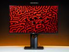 Dell P2319H 23" Inch IPS Frameless Full HD HDMI Used Monitor