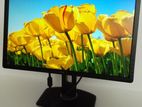 DELL P2412H - 24" inch IPS Wide Screen LED Monitors