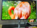 Dell UltraSharp 24.9 inch IPS frameless Type C monitor