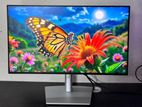 Dell UltraSharp 24.9 inch IPS frameless Type C monitor