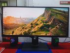 Dell Ultrawide 29" Monitor