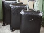 Delsey Unbreakable luggage BAGS