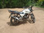 Demak 150 2013