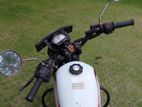 Demak D7 Classic 2017