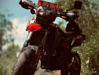 Demak DTM 150 2017