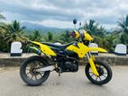 Demak DTM N 2017